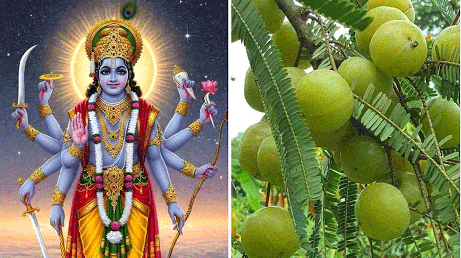 ನೆಲ್ಲಿಕಾಯಿ ಮಹಿಮೆ ಸಾರುವ ಏಕಾದಶಿ…