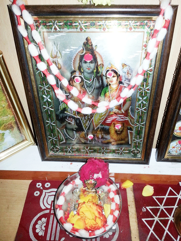 ಜ್ಯೋತಿರ್ಭೀಮೇಶ್ವರನಿಗೆ ಏಕೆ ಈ ಪೂಜೆ?