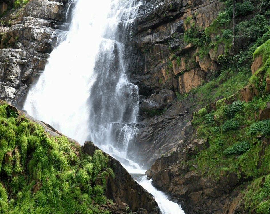 ಅರಣ್ಯದ ಅಡಗಿದ ಮಣಿ: ಬುರಡೆ ಜಲಪಾತ