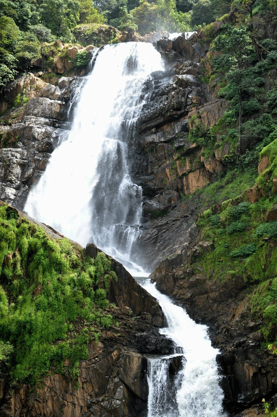 ಅರಣ್ಯದ ಅಡಗಿದ ಮಣಿ: ಬುರಡೆ ಜಲಪಾತ