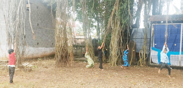 ನಾಗರ ಪಂಚಮಿ ಎಂದರೆ ಜೋಕಾಲಿಯ ನೆನಪು!