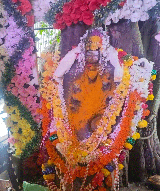 ನಾಗಾರಾಧನೆಯ ಹಿಂದಿನ ನಿಗೂಢ ಕಥೆ!