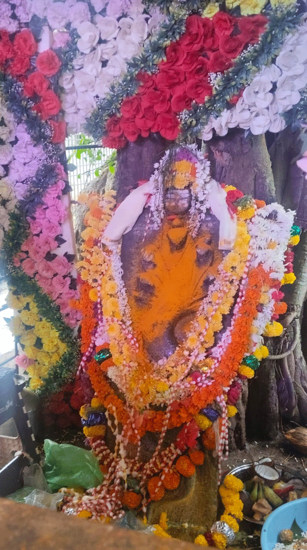 ನಾಗಾರಾಧನೆಯ ಹಿಂದಿನ ನಿಗೂಢ ಕಥೆ!