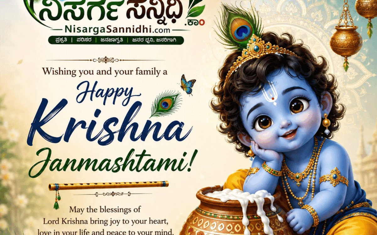 ಬೆಣ್ಣೆ ಕದ್ದ ಬಾಲಕೃಷ್ಣನ ಹಬ್ಬ